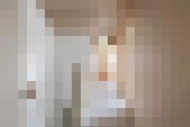 Zennepweg 21 Lemelerveld thumbnail 23