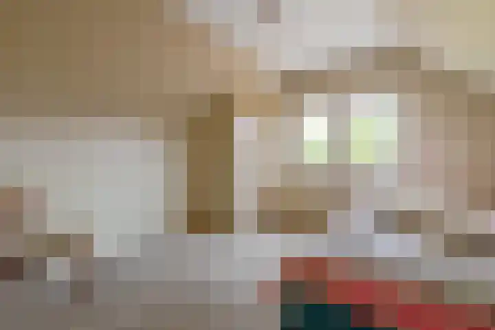 Zennepweg 21 Lemelerveld thumbnail 24