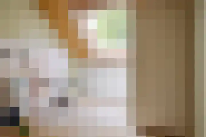 Zennepweg 21 Lemelerveld thumbnail 26