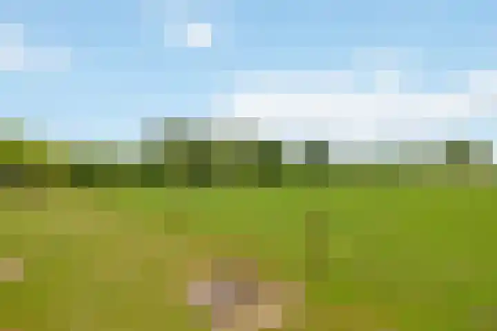 Zennepweg 21 Lemelerveld thumbnail 28