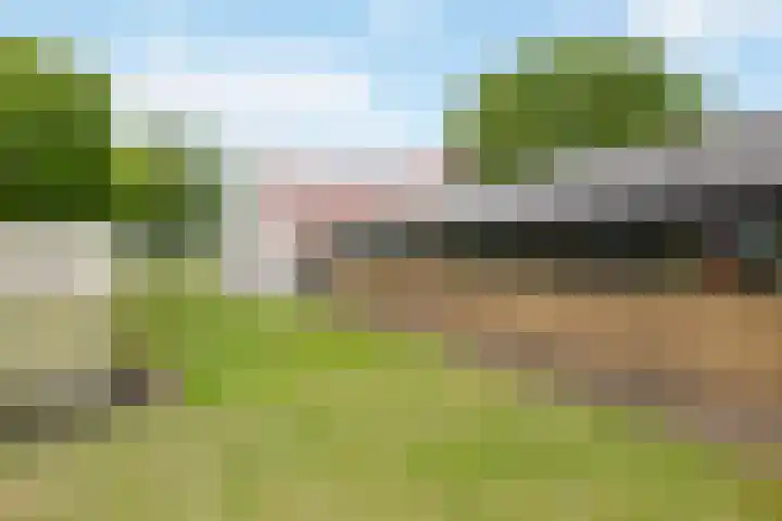 Zennepweg 21 Lemelerveld thumbnail 29