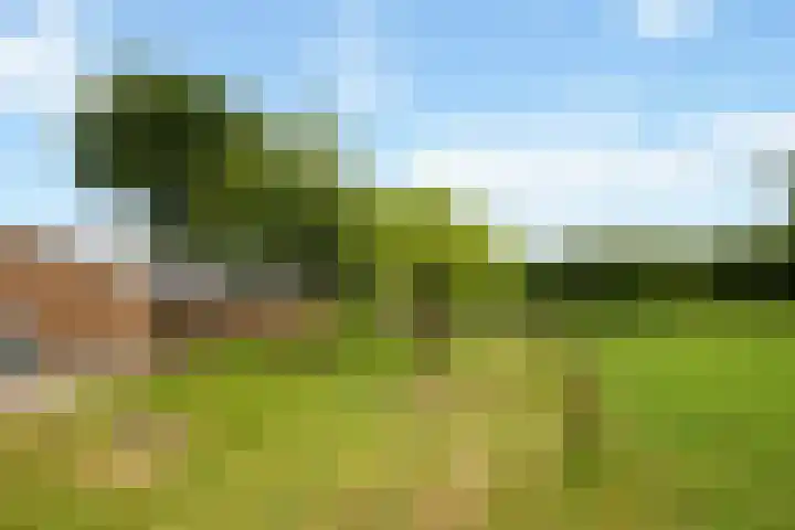 Zennepweg 21 Lemelerveld thumbnail 30
