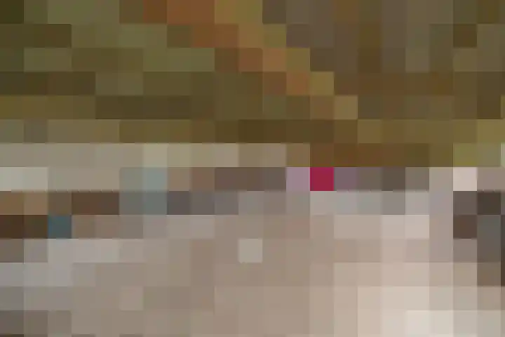 Zennepweg 21 Lemelerveld thumbnail 31