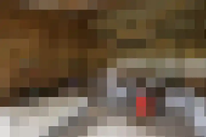 Zennepweg 21 Lemelerveld thumbnail 32