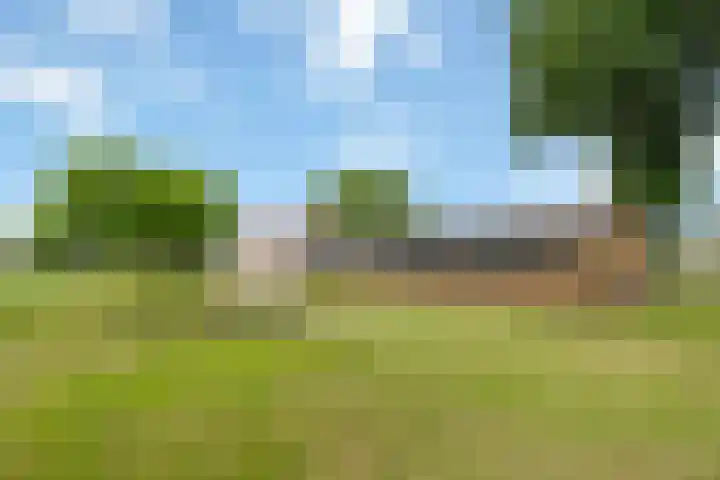 Zennepweg 21 Lemelerveld thumbnail 33