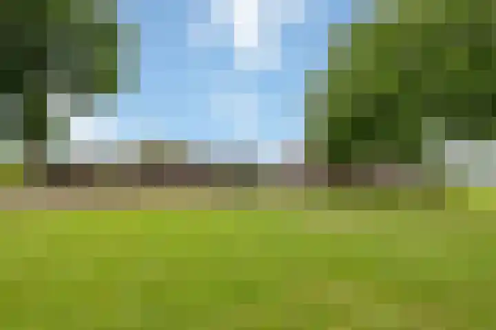Zennepweg 21 Lemelerveld thumbnail 34