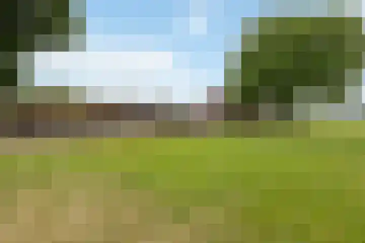 Zennepweg 21 Lemelerveld thumbnail 35