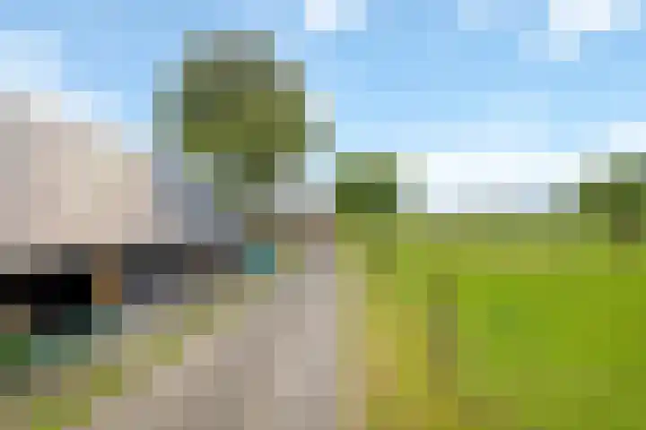 Zennepweg 21 Lemelerveld thumbnail 36
