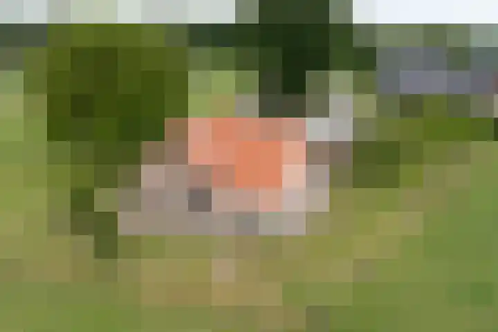 Zennepweg 21 Lemelerveld thumbnail 4