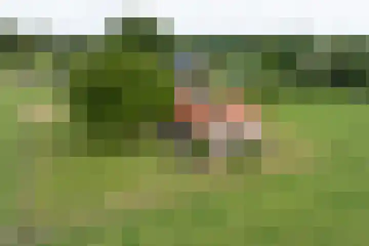 Zennepweg 21 Lemelerveld thumbnail 6