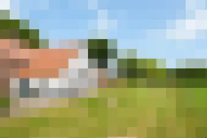 Zennepweg 21 Lemelerveld thumbnail 7