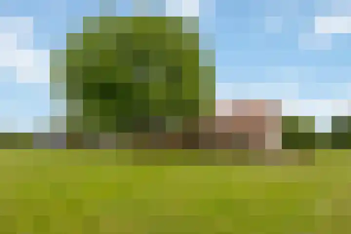 Zennepweg 21 Lemelerveld thumbnail 9