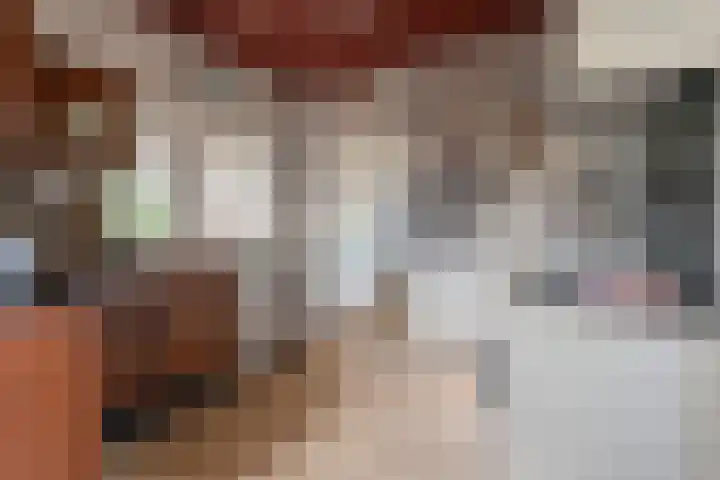 Zennewijnenseweg 26 Zennewijnen thumbnail 11