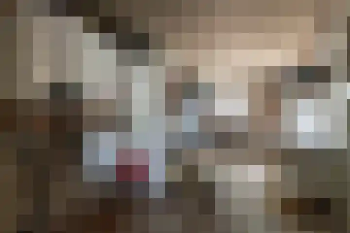 Zennewijnenseweg 26 Zennewijnen thumbnail 15