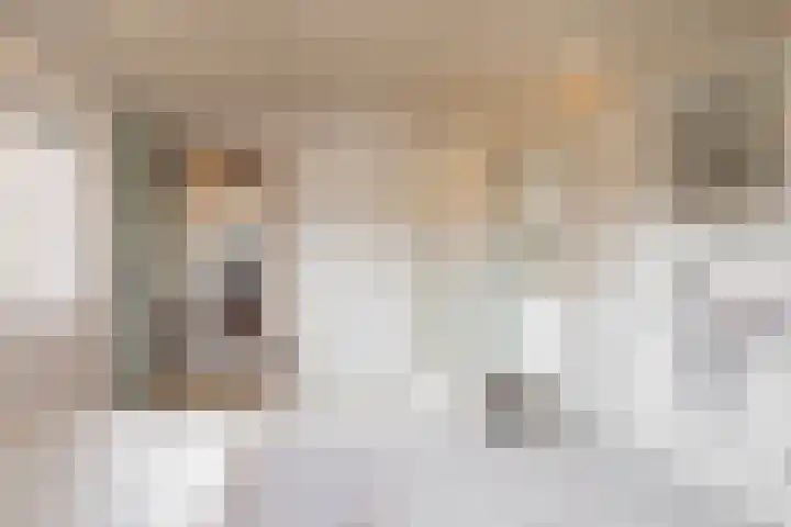 Zennewijnenseweg 26 Zennewijnen thumbnail 26