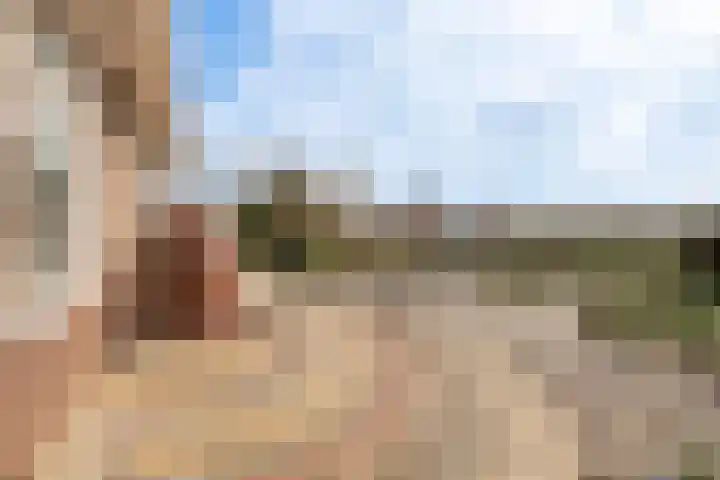 Zennewijnenseweg 26 Zennewijnen thumbnail 29