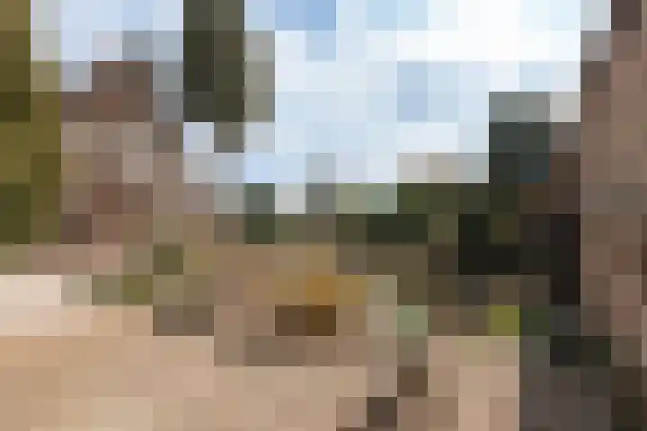 Zennewijnenseweg 26 Zennewijnen thumbnail 30