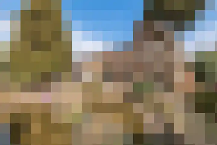 Zennewijnenseweg 26 Zennewijnen thumbnail 31