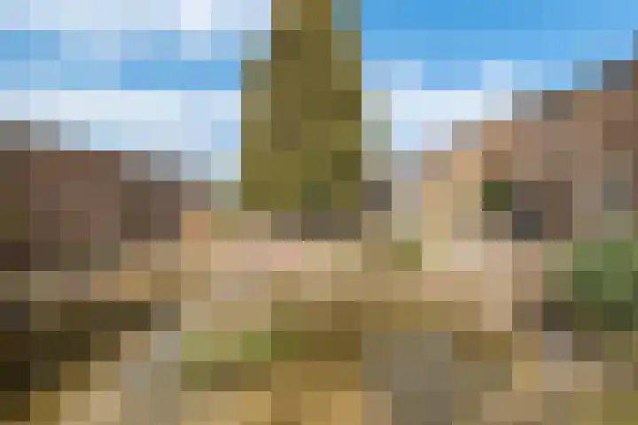 Zennewijnenseweg 26 Zennewijnen thumbnail 32