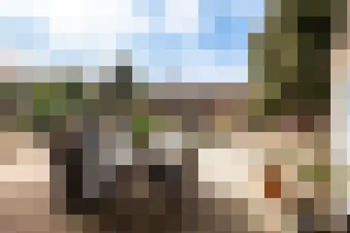 Zennewijnenseweg 26 Zennewijnen thumbnail 33