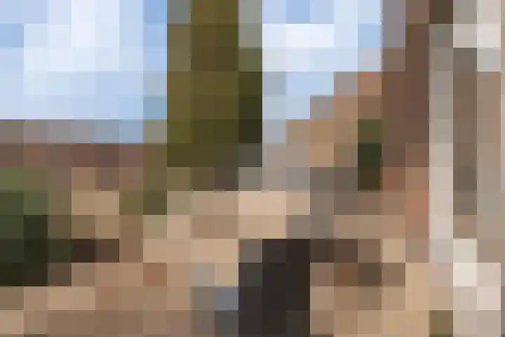 Zennewijnenseweg 26 Zennewijnen thumbnail 34