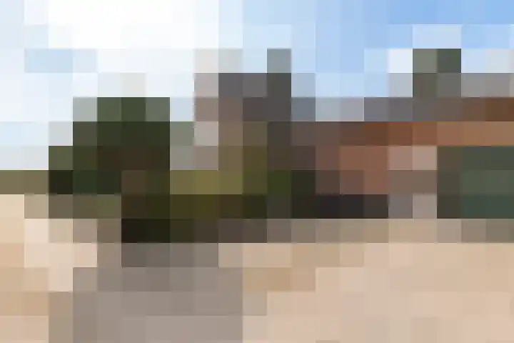 Zennewijnenseweg 26 Zennewijnen thumbnail 35