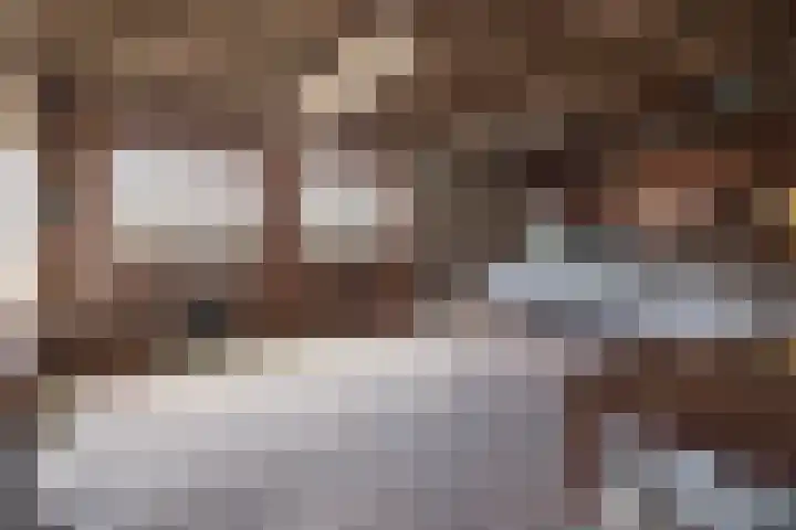 Zennewijnenseweg 26 Zennewijnen thumbnail 40