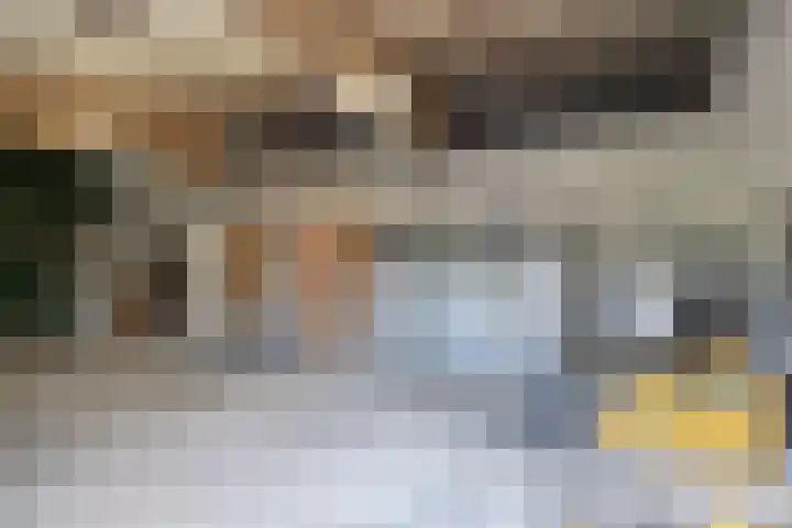 Zennewijnenseweg 26 Zennewijnen thumbnail 43