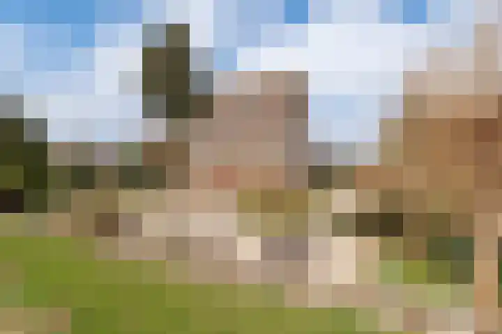 Zennewijnenseweg 26 Zennewijnen thumbnail 54
