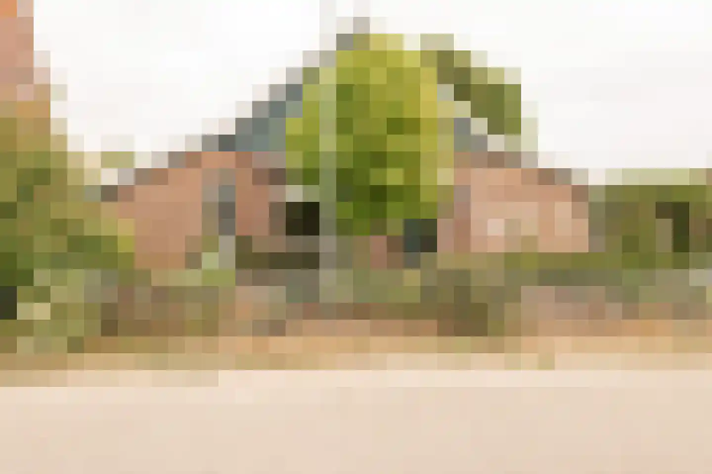 Zennewijnenseweg 7 Tiel thumbnail 12