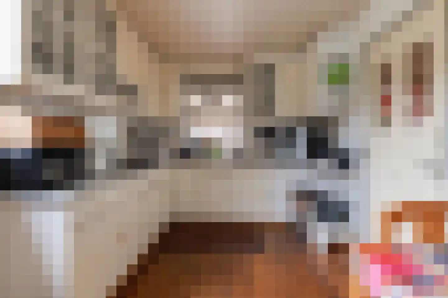 Zennewijnenseweg 7 Tiel thumbnail 18