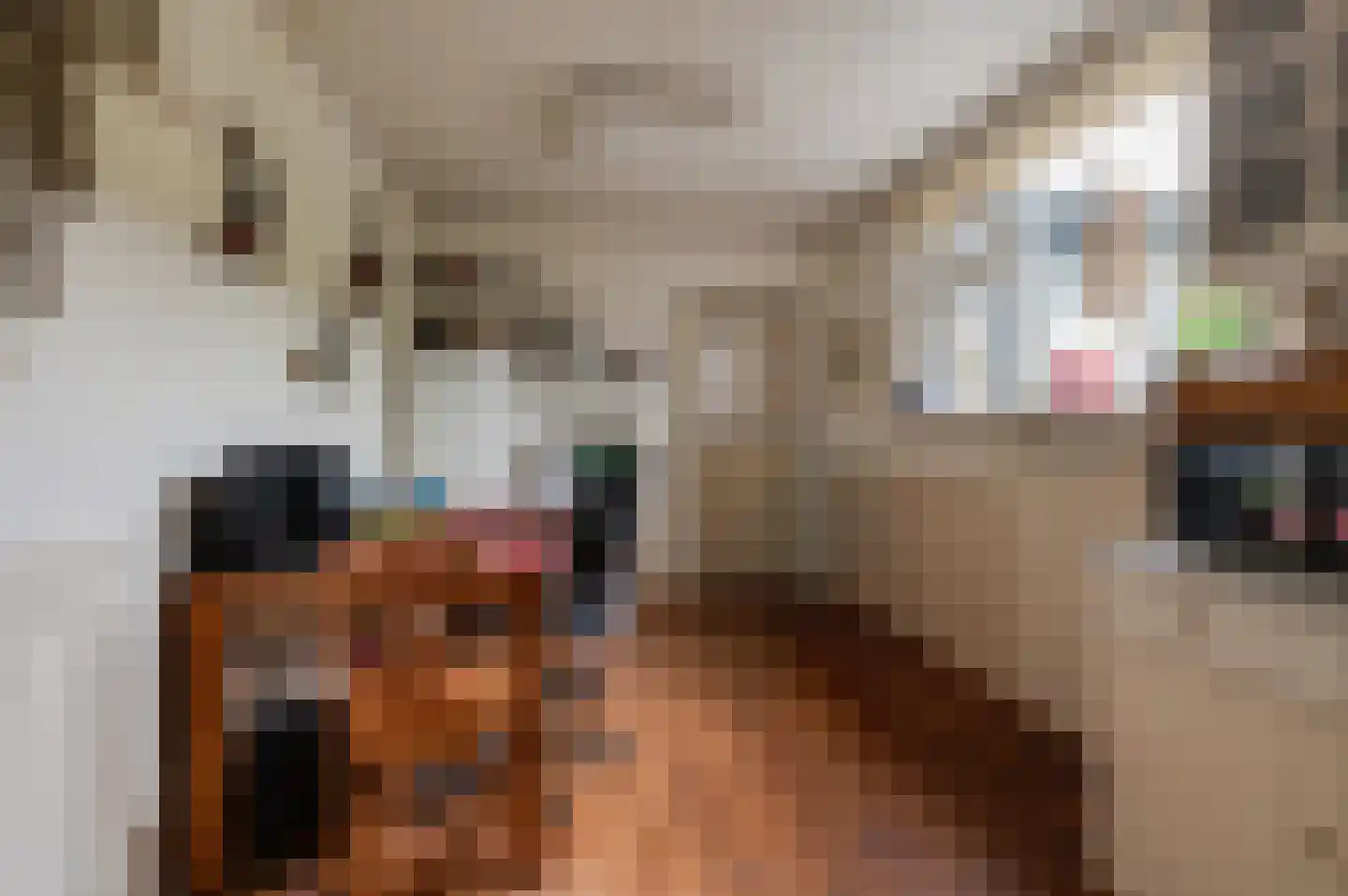 Zennewijnenseweg 7 Tiel thumbnail 19
