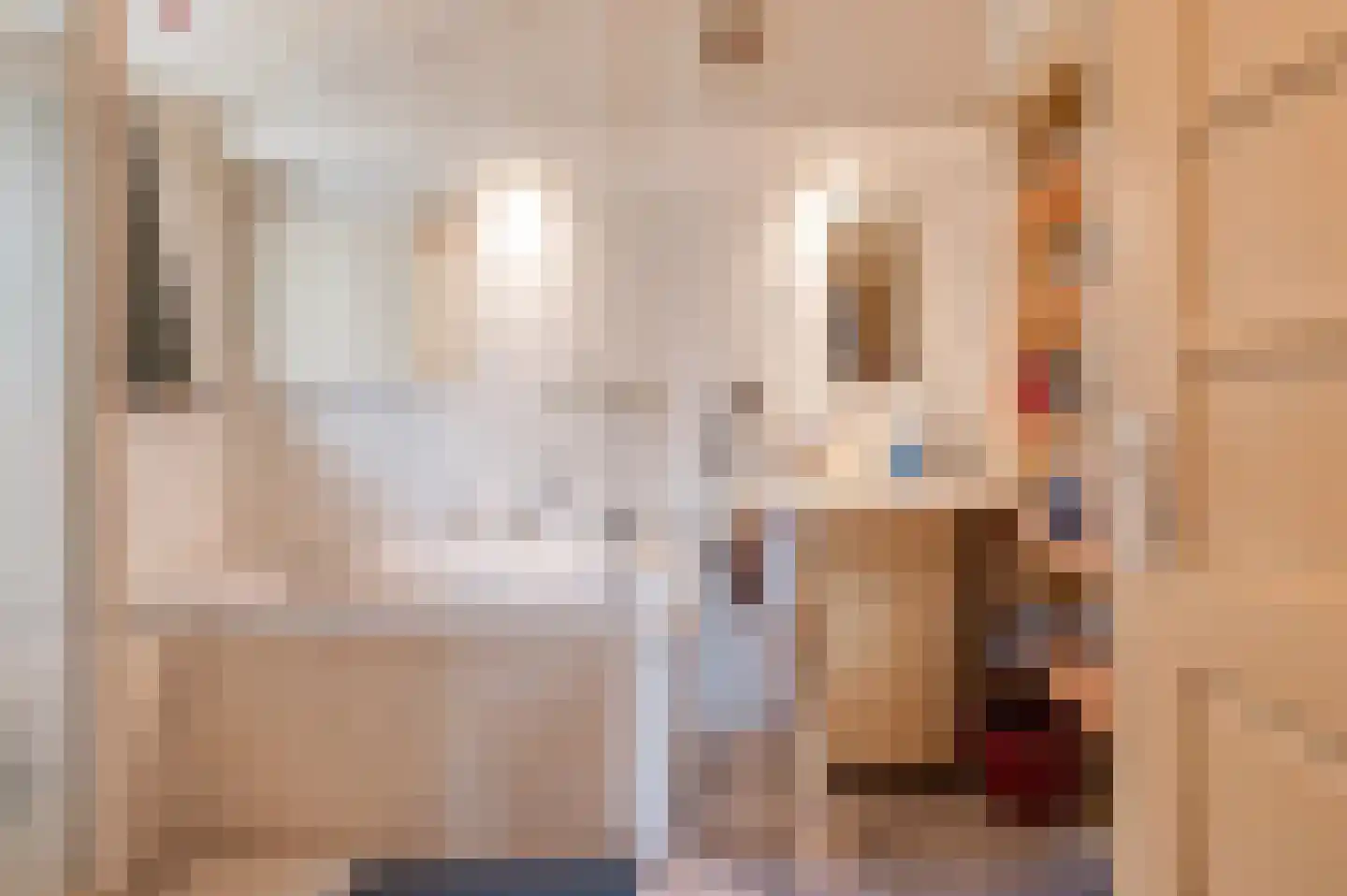 Zennewijnenseweg 7 Tiel thumbnail 21