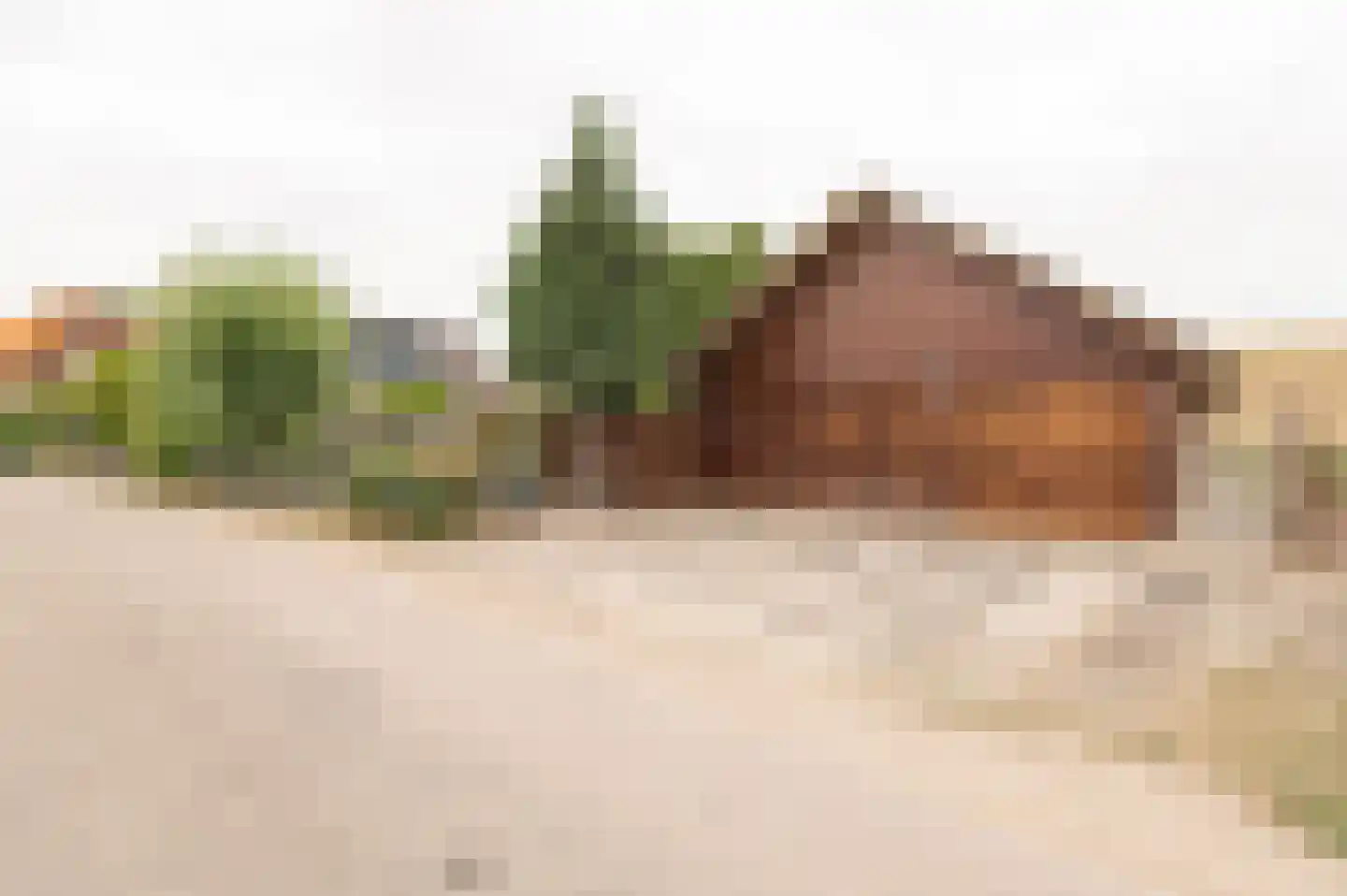 Zennewijnenseweg 7 Tiel thumbnail 30