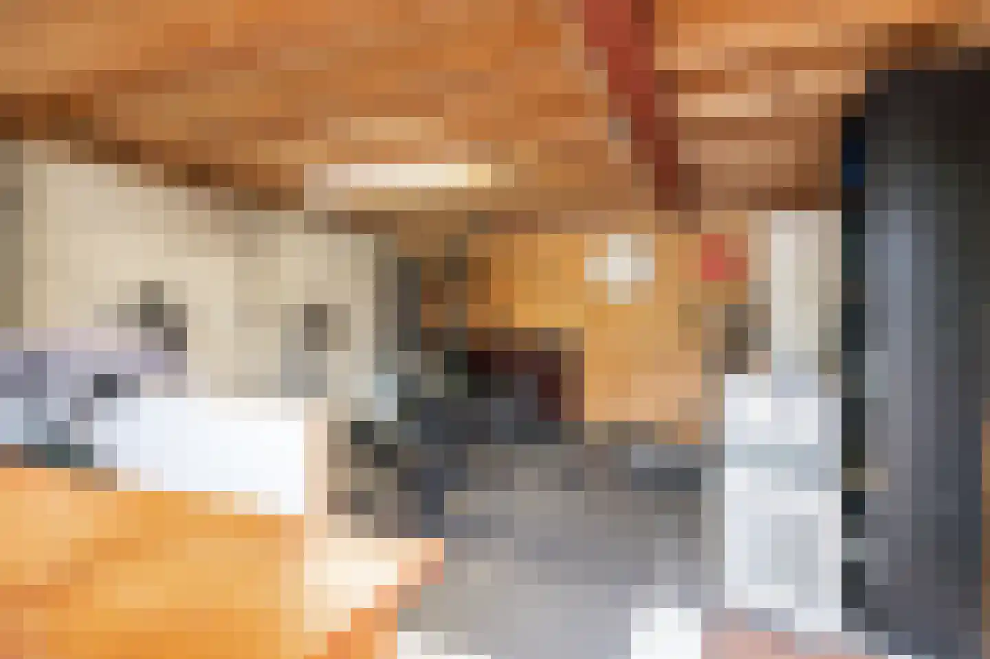 Zennewijnenseweg 7 Tiel thumbnail 32