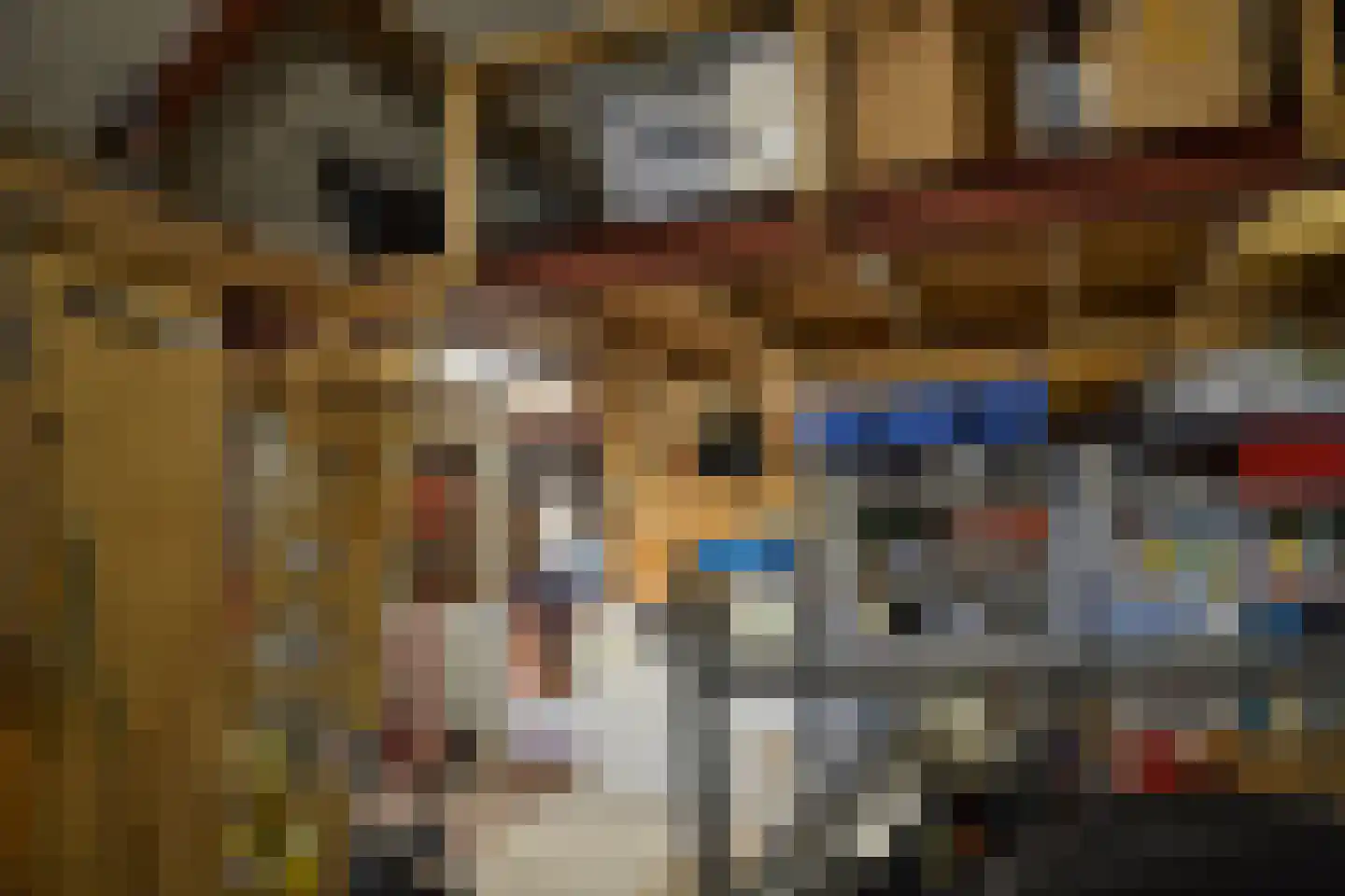 Zennewijnenseweg 7 Tiel thumbnail 34