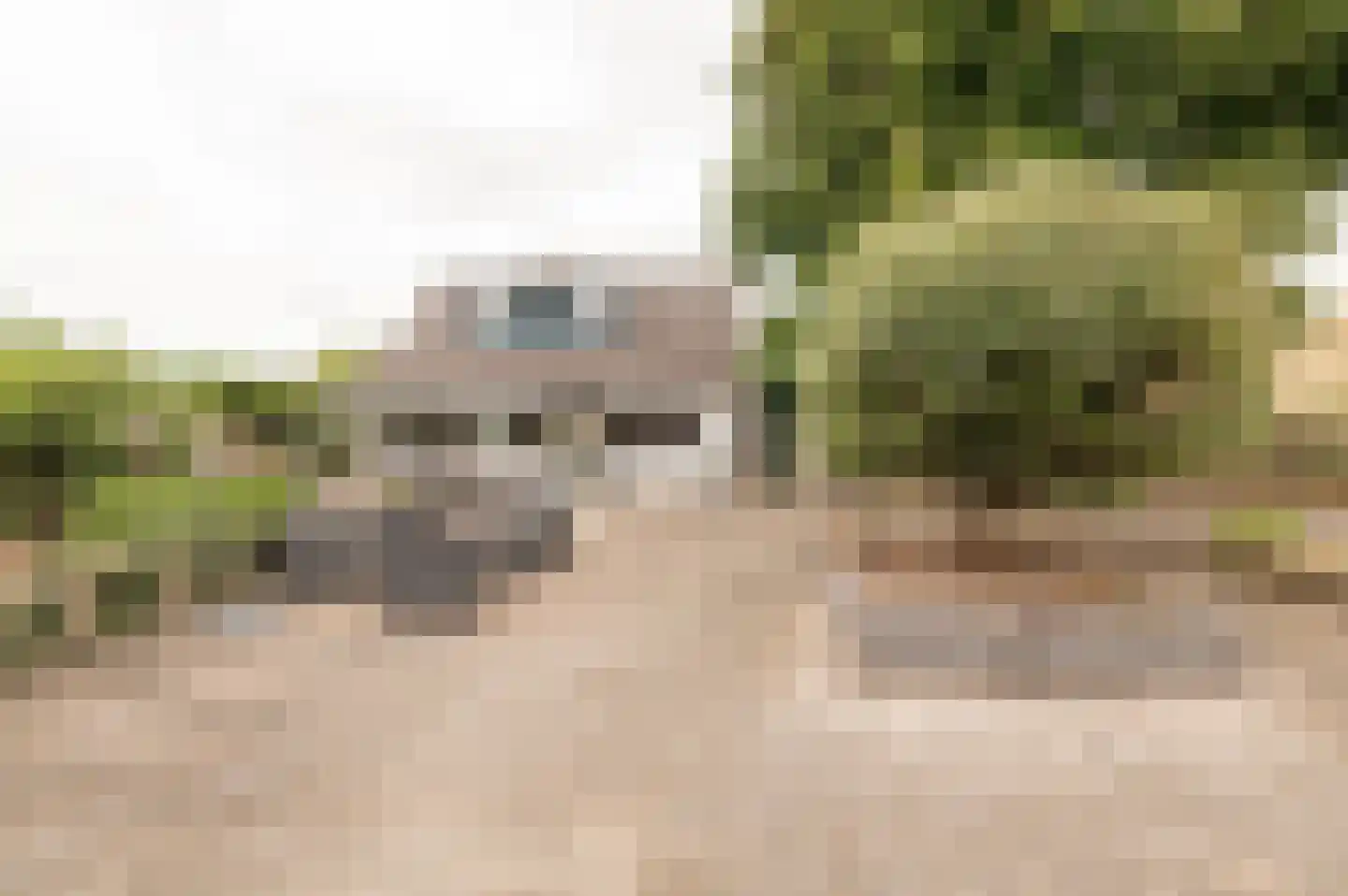 Zennewijnenseweg 7 Tiel thumbnail 35