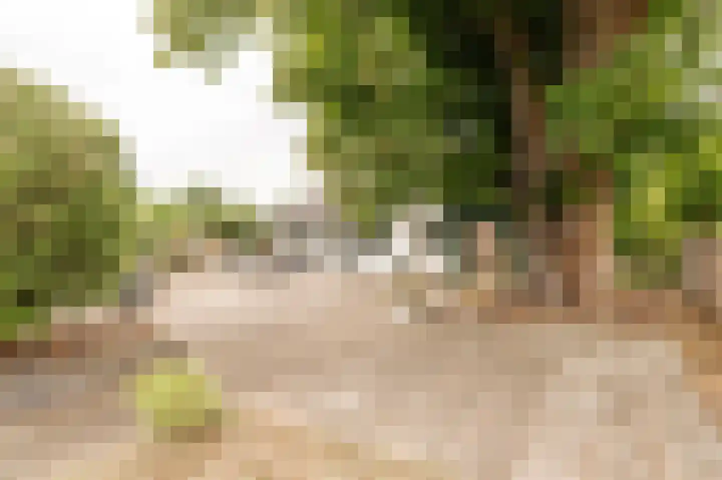 Zennewijnenseweg 7 Tiel thumbnail 36