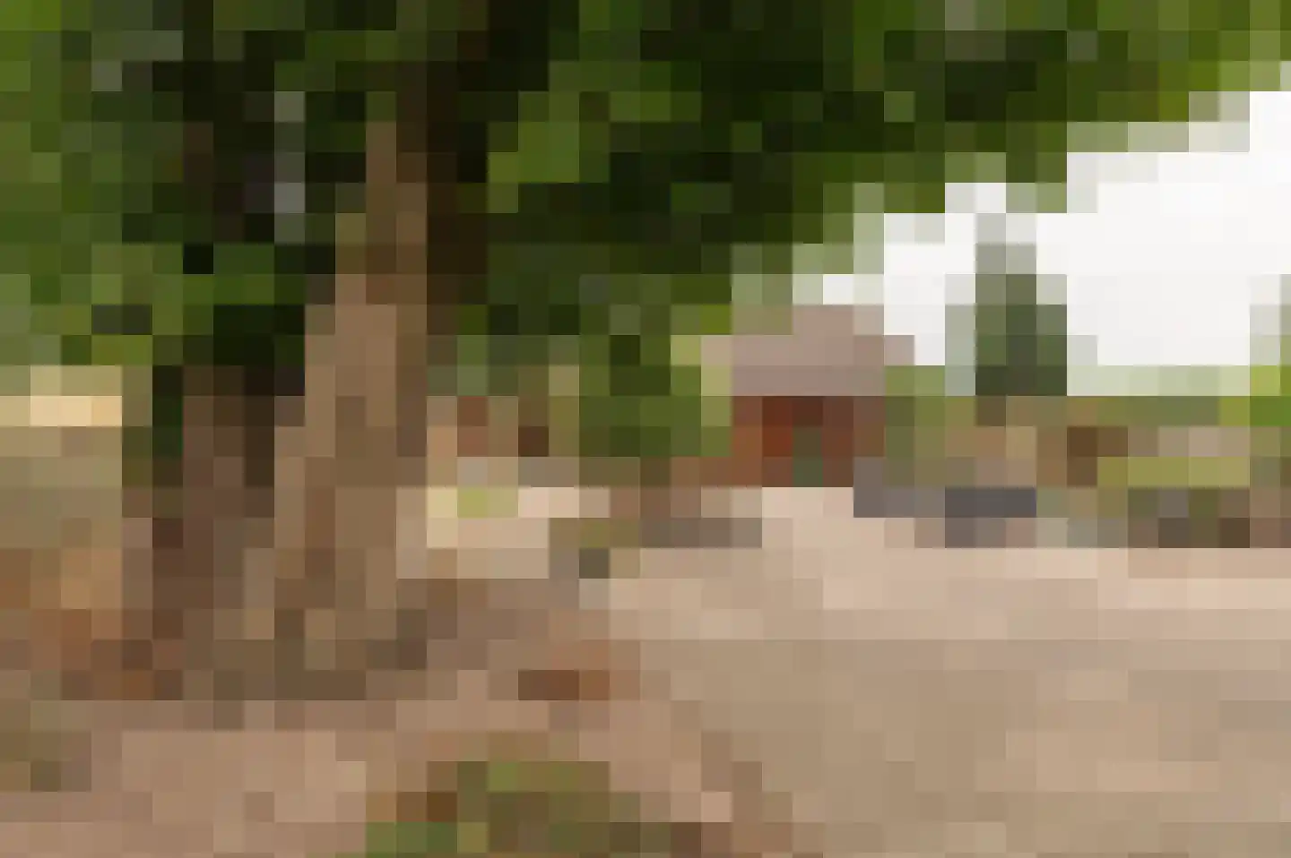 Zennewijnenseweg 7 Tiel thumbnail 37
