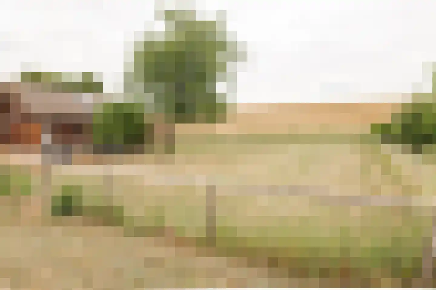 Zennewijnenseweg 7 Tiel thumbnail 38