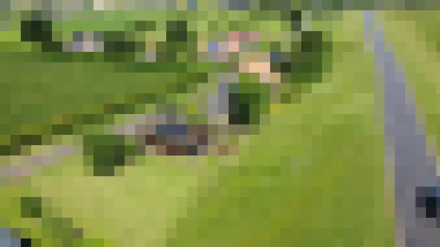 Zennewijnenseweg 7 Tiel thumbnail 4