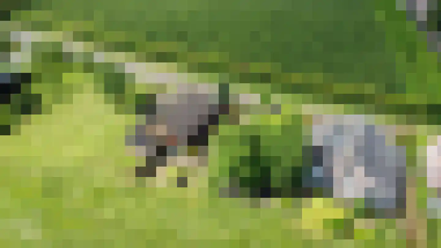 Zennewijnenseweg 7 Tiel thumbnail 5