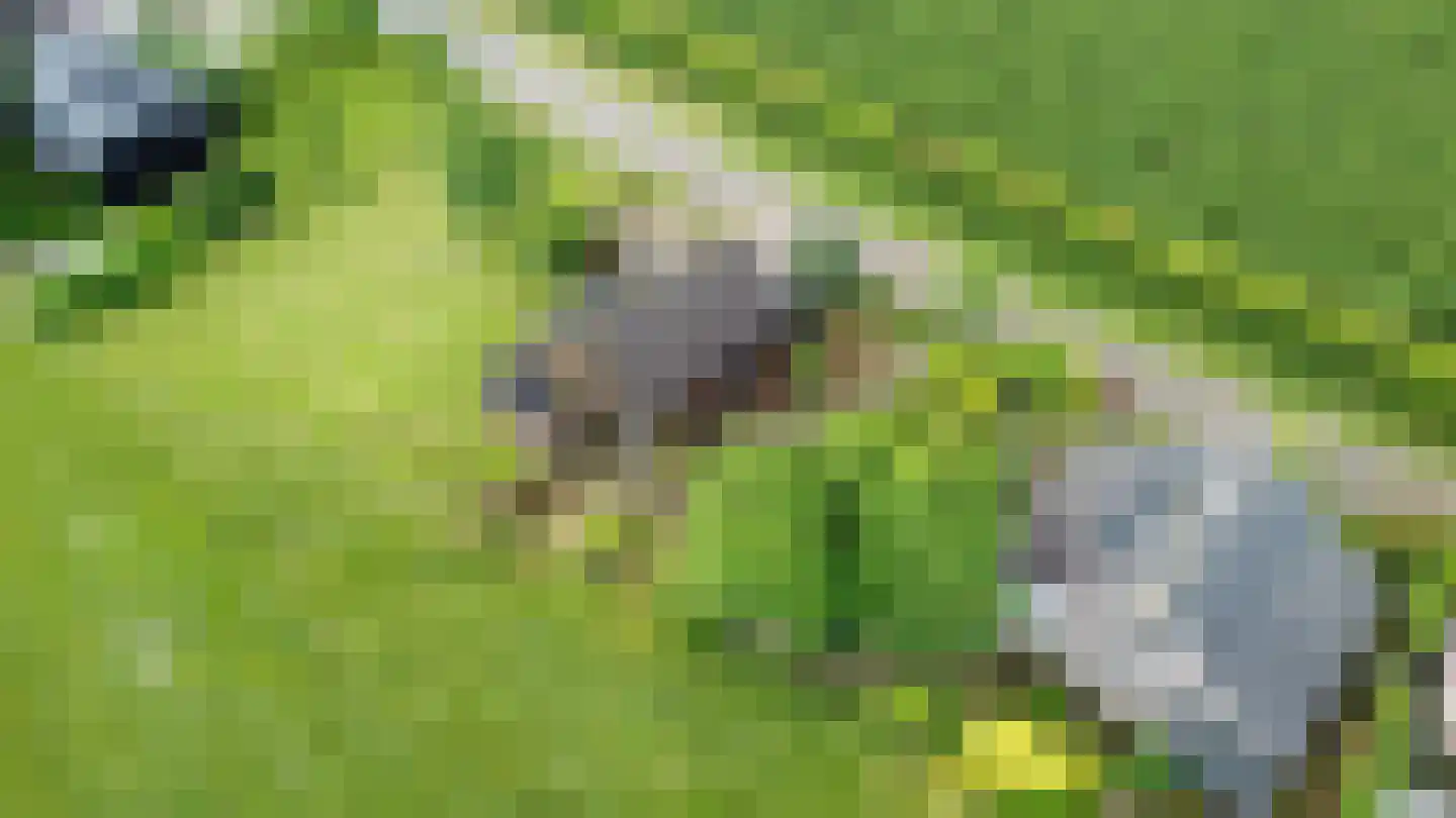 Zennewijnenseweg 7 Tiel thumbnail 6