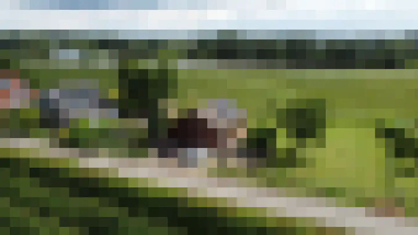 Zennewijnenseweg 7 Tiel thumbnail 7