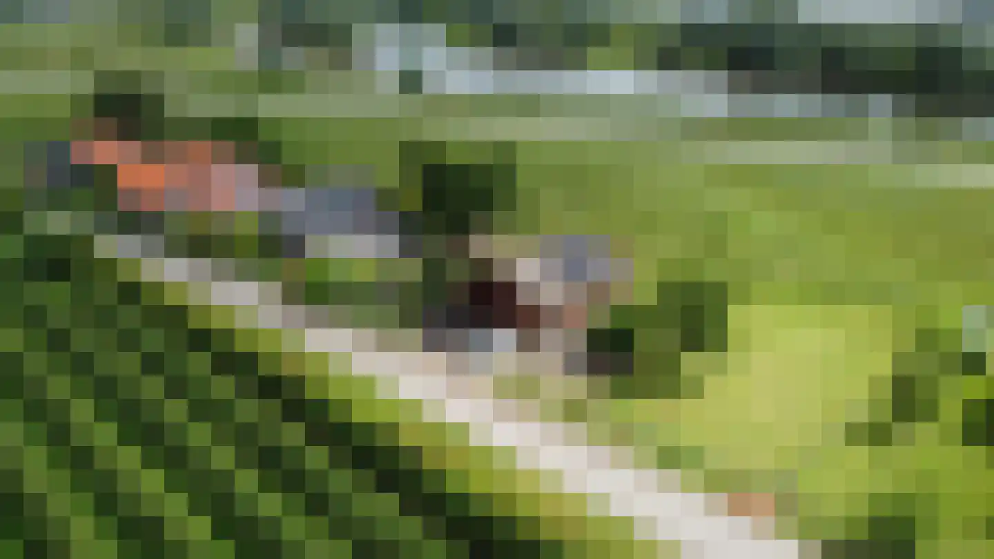 Zennewijnenseweg 7 Tiel thumbnail 8