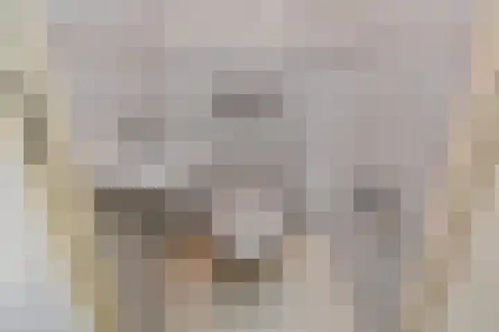 Zenobiagang 77 Zoetermeer thumbnail 10