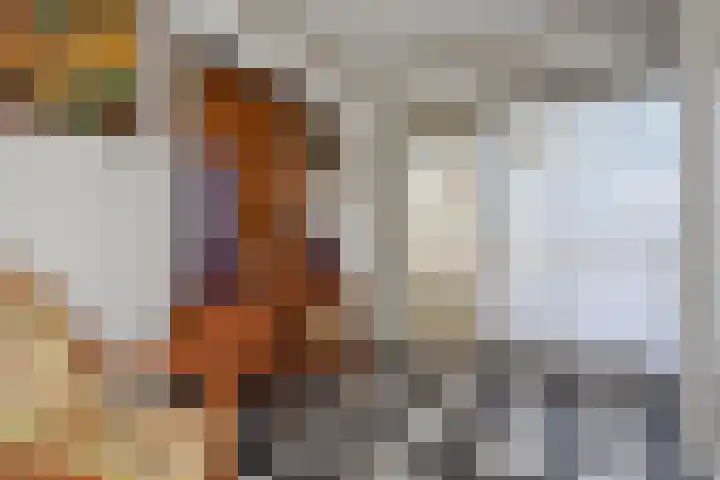 Zenobiagang 77 Zoetermeer thumbnail 11