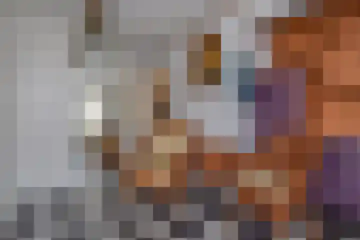 Zenobiagang 77 Zoetermeer thumbnail 12