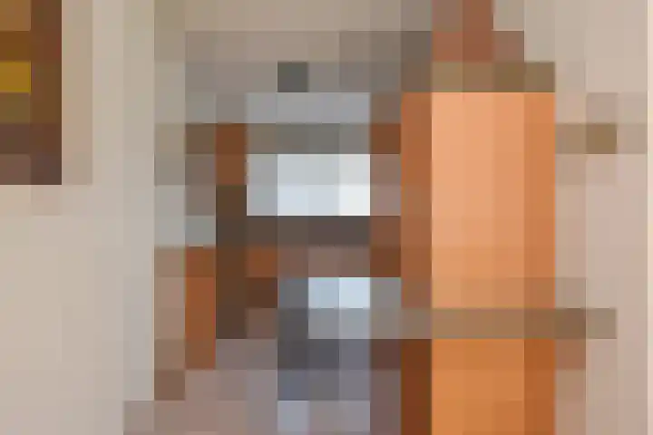Zenobiagang 77 Zoetermeer thumbnail 14