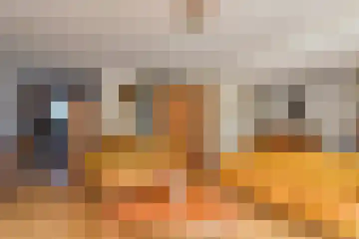 Zenobiagang 77 Zoetermeer thumbnail 20